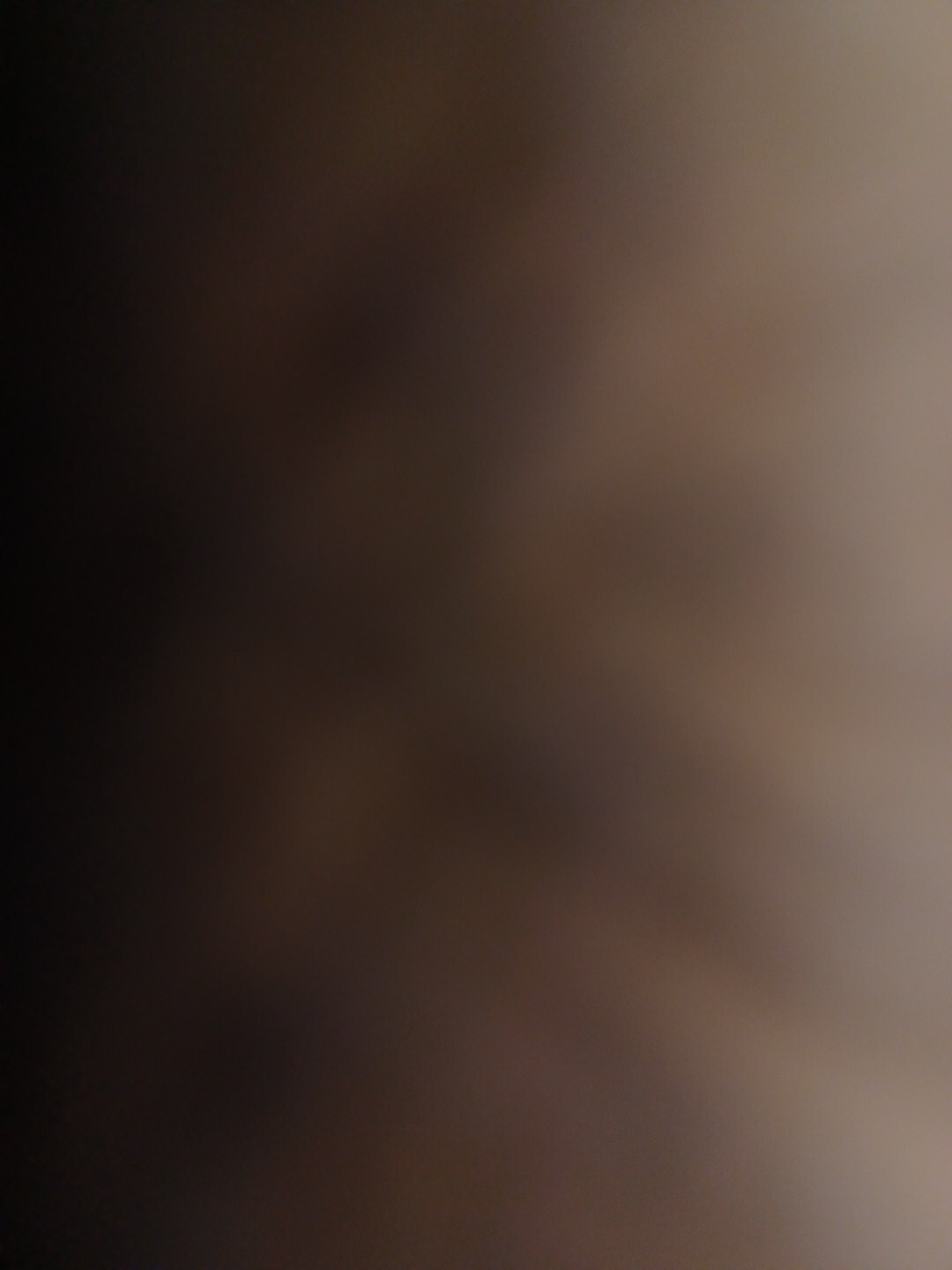Bild 19 von 19