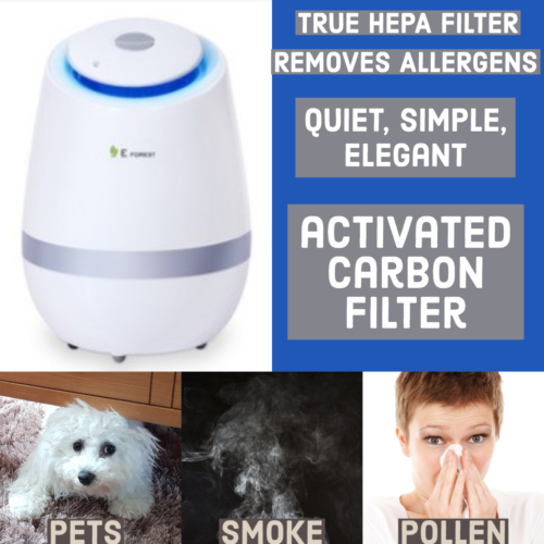 I-ON CLEAN E-ZE3 Air Purifier, PM Eliminator and Ionizer with hepa activated car - Afbeelding 1 van 3
