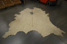 Light Beige Leather Hide Upholstery Whole Full Cow Hide 45 SQFT Crackle
