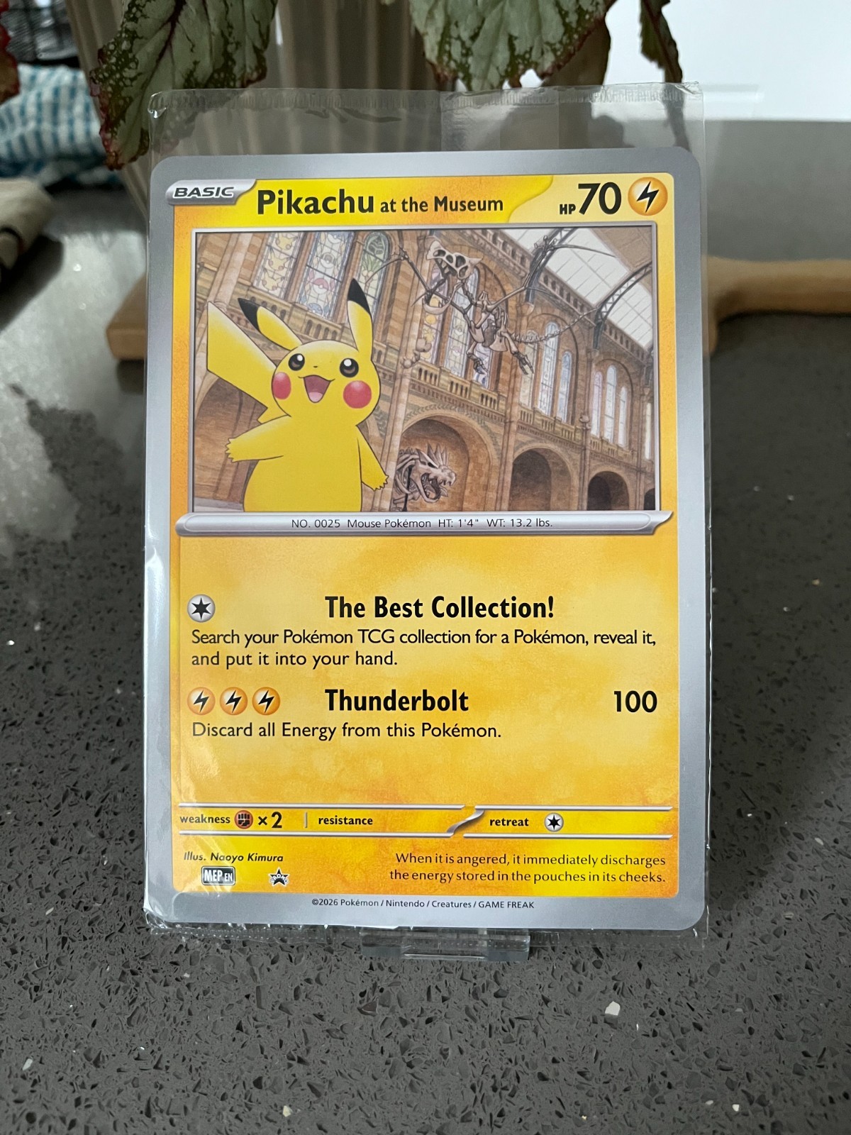 Pokémon TCG Promo Oversized Card - Pikachu At The Museum (NEW/SEALED)- UK