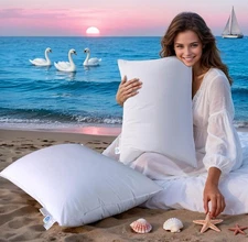 Luxury Goose Down Pillows Set of 2, Soft Cotton Queen Size