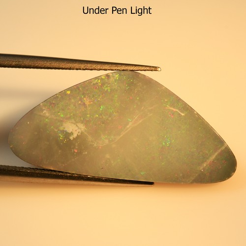 8.36 Cts Australian Opal Doublet Multi Color Play Fancy Natural Loose Gemstone - 第 1/1 張圖片