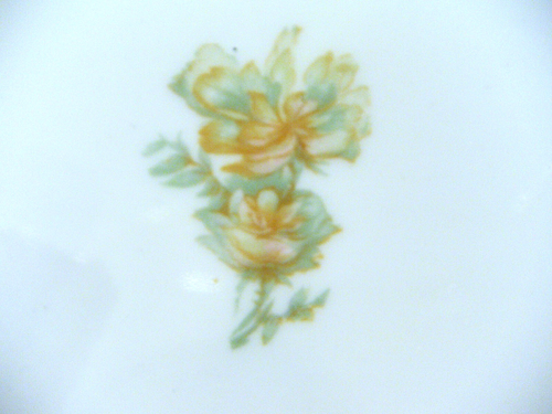 Rare Antique Haviland Limoges, France The Countess Schleiger #69 Fine Dinnerware - Picture 49 of 329