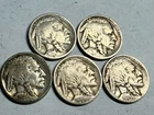 (Lot of 5) 1921 average circ Indian Head BUFFALO NICKELS. Exact coins shown. #q5