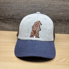 Geometric Bear Hat Cap Snap Back Blue Brown Gray Corduroy Nature Outdoors Hiking