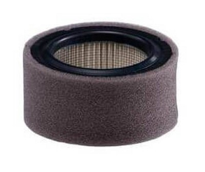 Johnson Controls A-4000-612 Intake Air Filter, 10 SCFM, 3/4'' Connection
