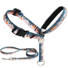 Dog Head Collar Anti-Pulling Printed Head Halter with Leash Gentle Head Harne...