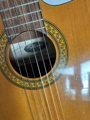   ''Stagg'' SW201N Handgefertigte Westerngitarre . Full Size. Acoustic Six String + Case