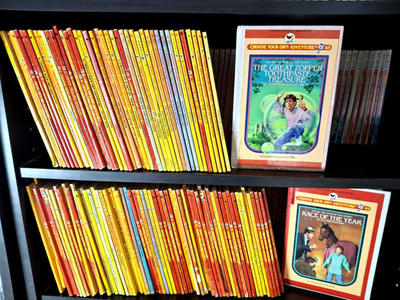 Choose Your Own Adventure Bantam Skylark Bargain Bin Sale! CYOA Book Lot