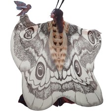 Liitrsh 2 Pcs Halloween Moth Wings Costume Butterfly One Size, Multicolored