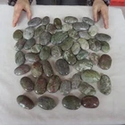 9.7LB 50Pcs Natural Phoenix Stone Chrysocolla Crystal Palm Stone Healing Africa
