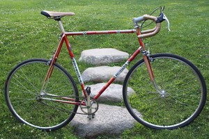 bottecchia single speed