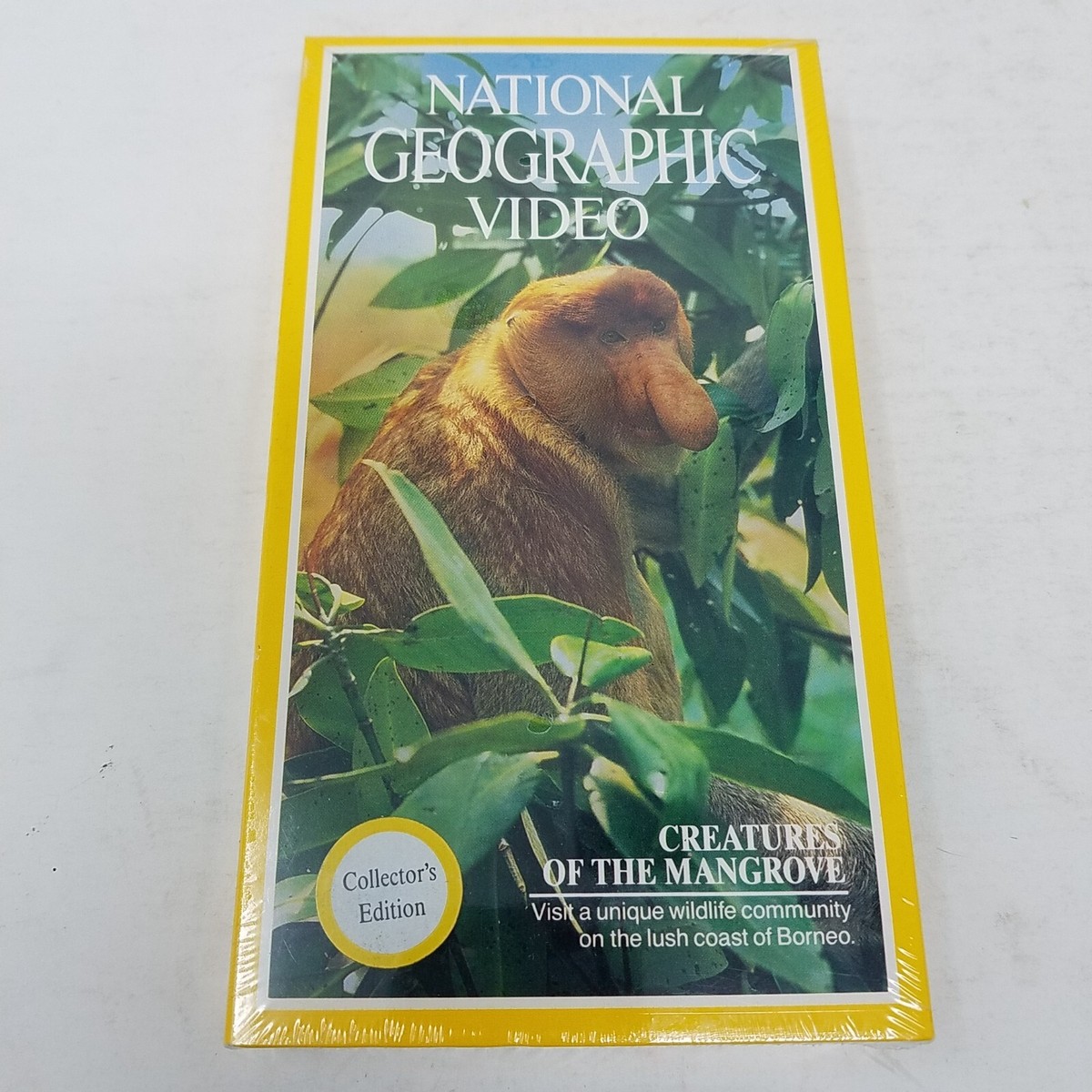 National Geographic Video Creatures of the Mangrove Video Beta New