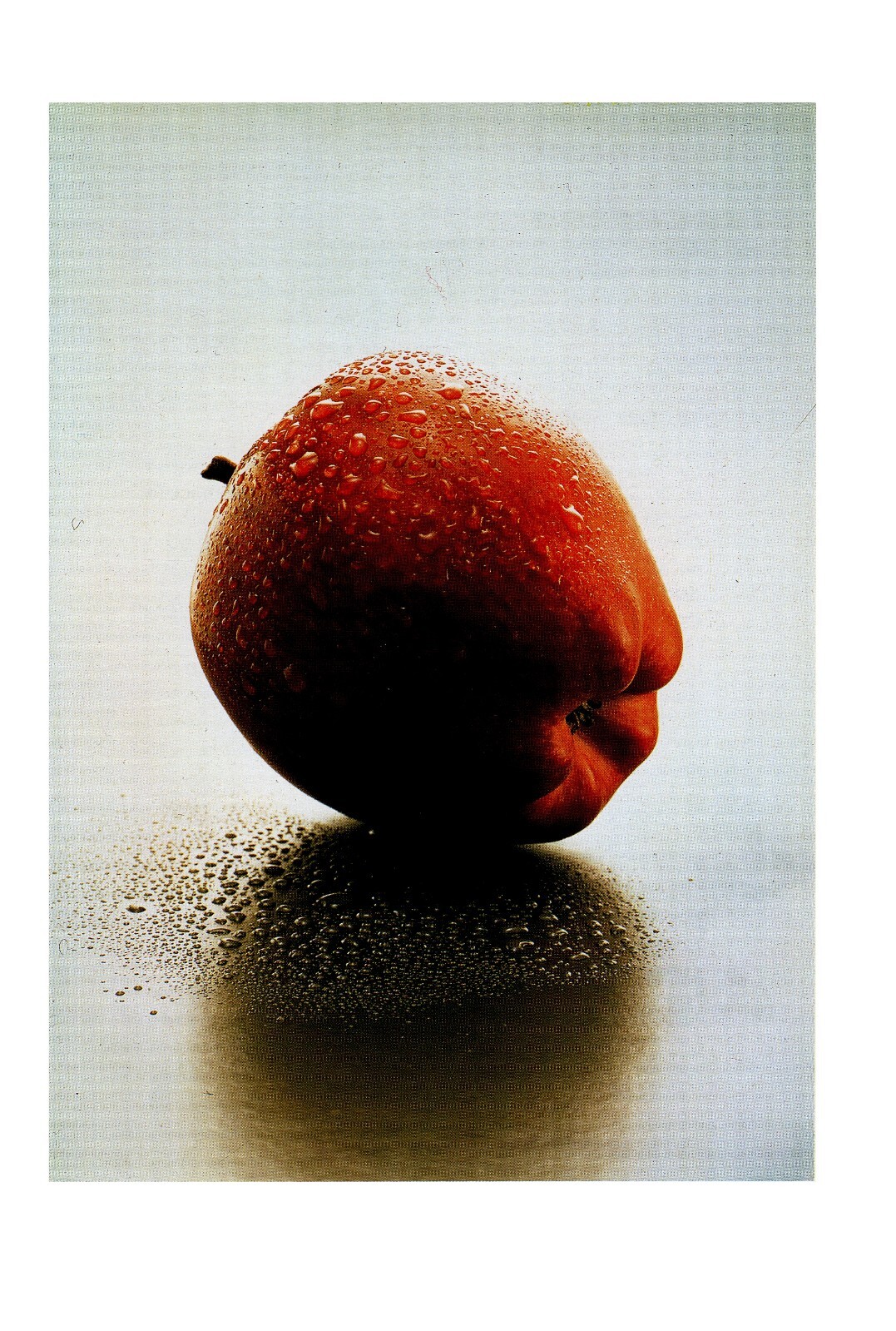 Foto 2 di 7