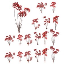 18 Pcs Lace Natural Real Pressed Dried Flower for Art Craft DIY, Red