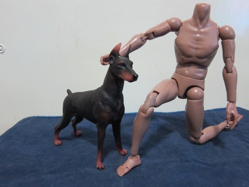 1/6 Scale Dogs Figure Bulldog Shepherd Lingbi Husky Rottweiler Doberman - Picture 32 of 114