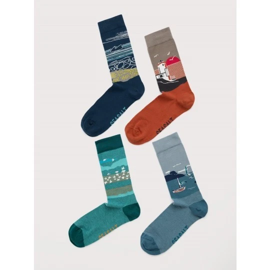 Seasalt Gift Box of 4 Men's Scenic Arty Socks - Foreground Mix - BNIB