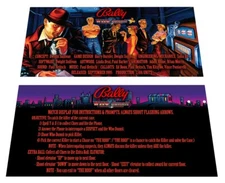 Bally Who Dunnit? Pinball Custom Apron Instruction Cards