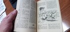 Foto 7 di 9
