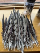 14-16 Pheasant Tail Feathers Set Of 10