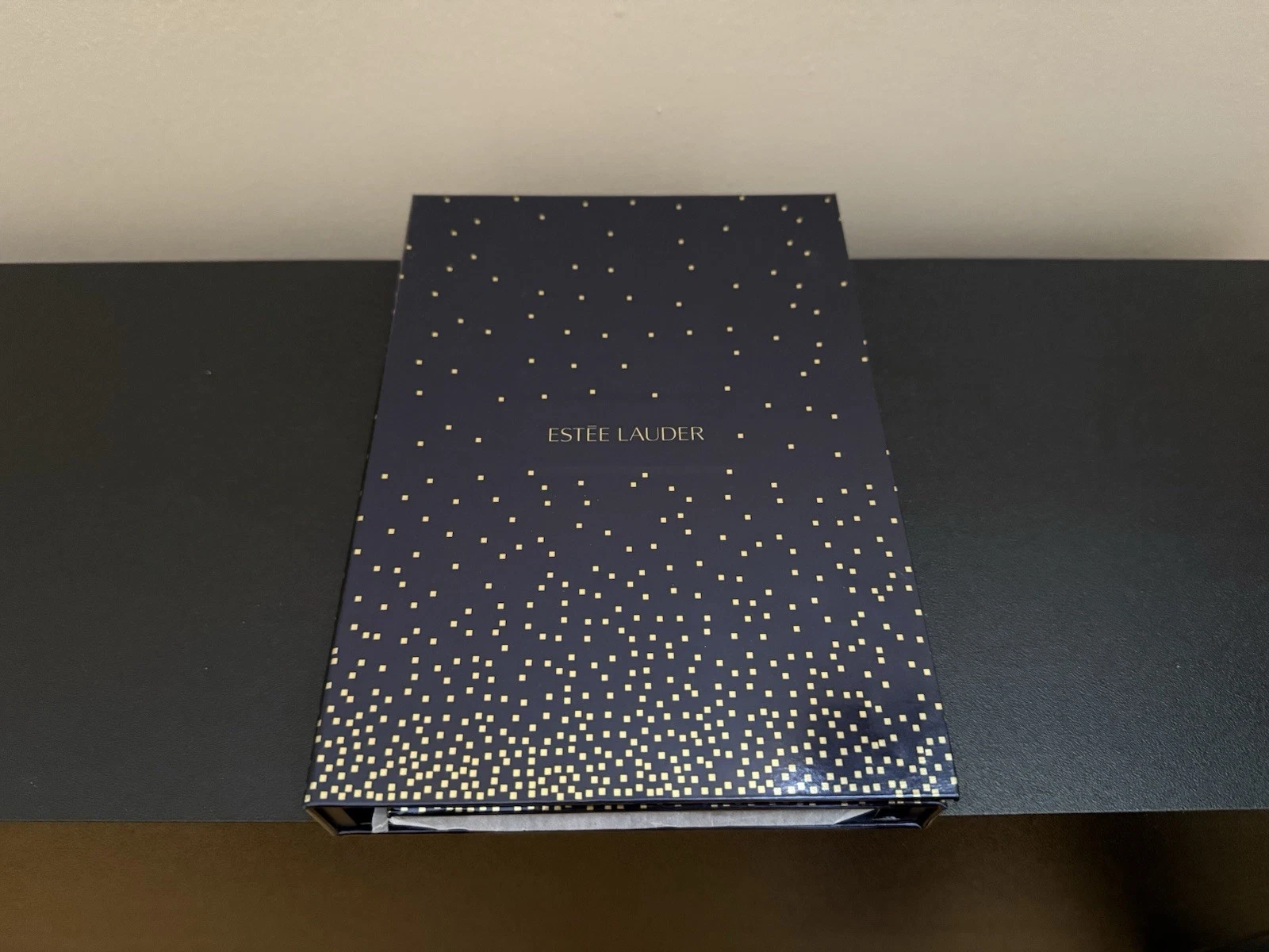 Estée Lauder Makeup Palette Gift Set Lip and Eyeshadow Portfolio All in One NEW
Opens in a new windo