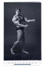 PUMPING IRON Movie POSTER D 24x36 Arnold Schwarzenegger Lou Ferrigno