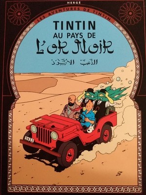 Les Aventures de Tintin: Au Pays de lOr Noir & Vol 714 Pour Sydney (DVD, 2006)