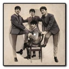 BEATLES - Love Me Do Square Picture Disc - Vinyl Record 7Inch - E600z