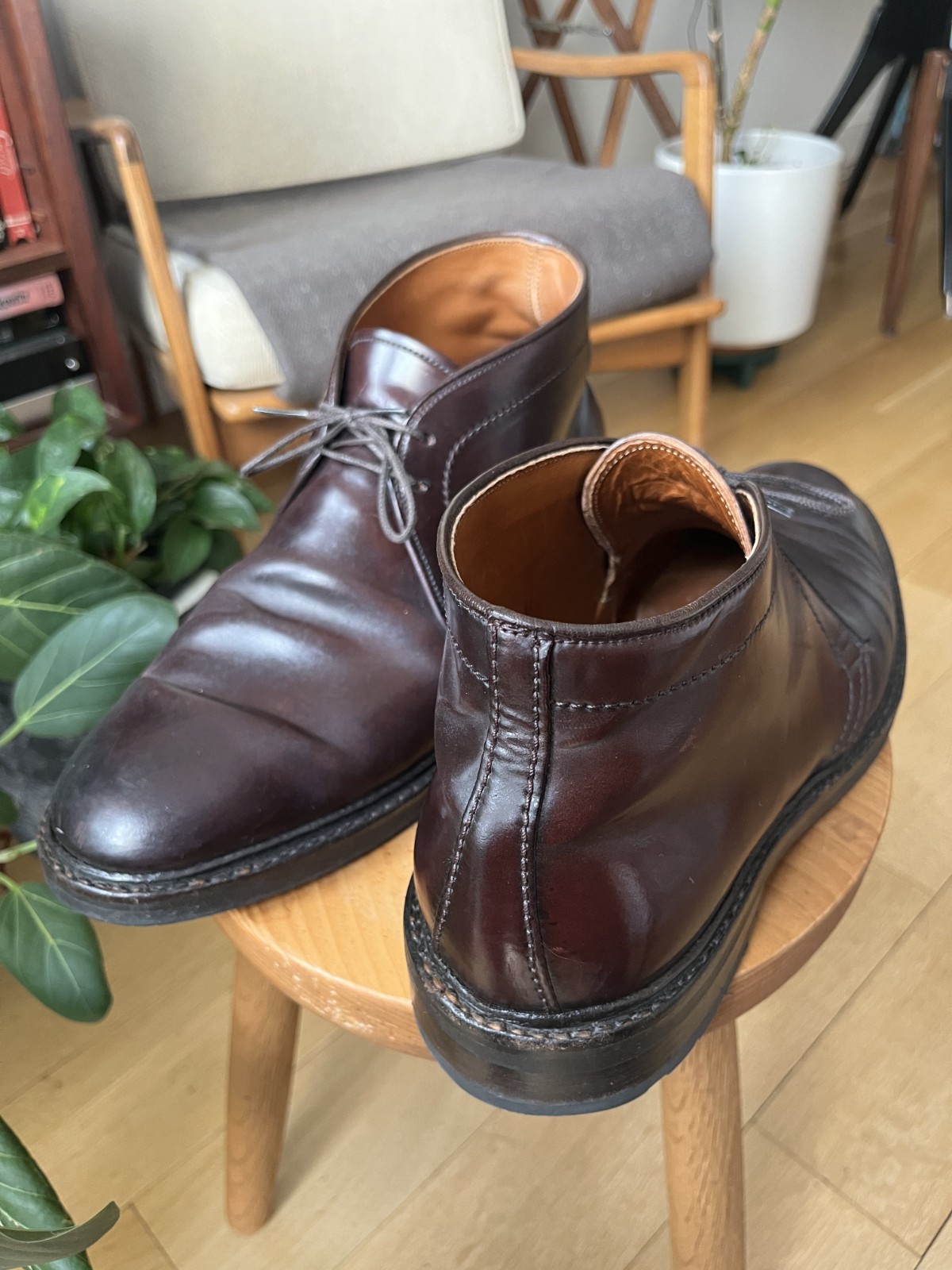 Alden 1339C Color 8 Shell Cordovan Chukka