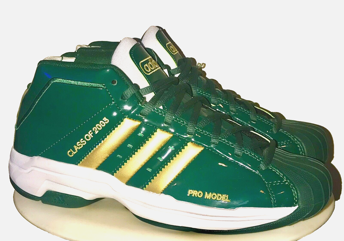 NEW 2019 LeBRON RETRO 2003 ADIDAS PRO MODEL 2G SVSM H.S IRISH