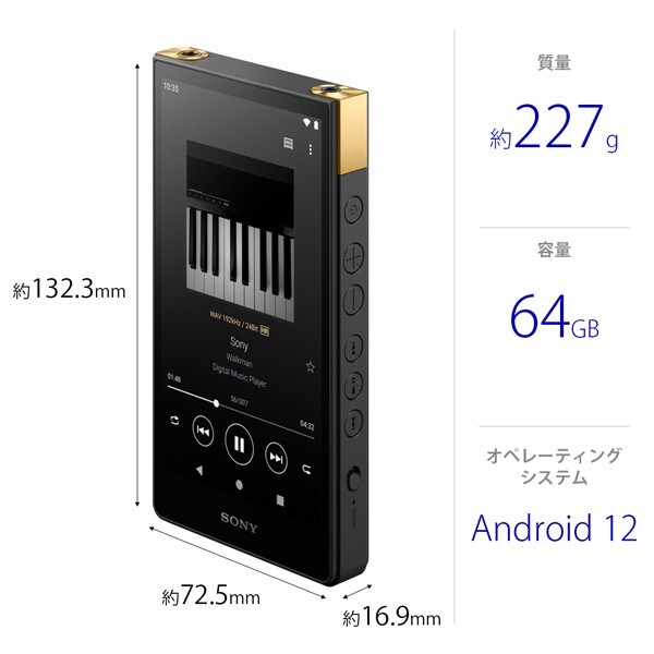 SONY WALKMAN Aシリーズ SONY Walkman A Series Video Compatible 16GB Pink NW-A829 P