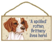 A Spoiled Rotten Brittany lives here Cute Dog Sign 5"x10" NEW Wood Plaque 179