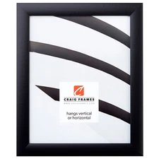 Contemporary Picture Frame, 14 x 18 Inch, Black