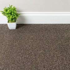 Carpet Cheap Carpets Twist Pile Carpet Feltback Carpet - Lounge Bedroom