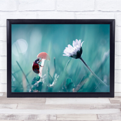 Marienkäfer Blume Pilz Makro Bokeh türkis sanfter Wandkunstdruck