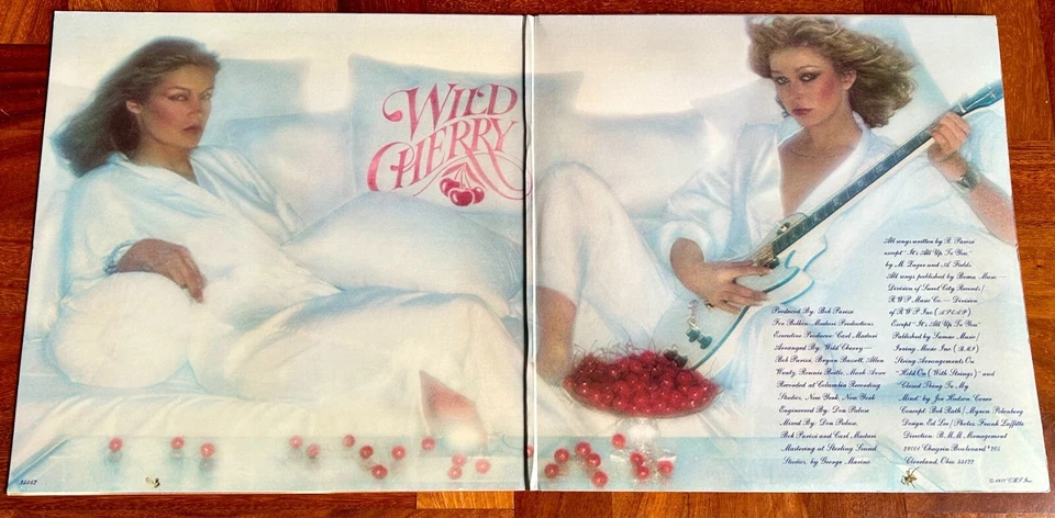 WILD CHERRY - ELECTRIFIED FUNK - LP US 1977 - GATEFOLD - EPIC PE 34462 - NM/VG+ - Immagine 2 di 4