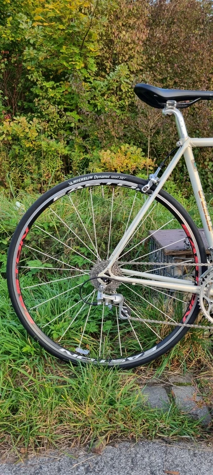 Gazelle Champion Mondial 53cm Retro Rennrad Shimano 600 Campagnolo Shimano 105 - Bild 3 von 4