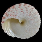 Bild 4 von 4