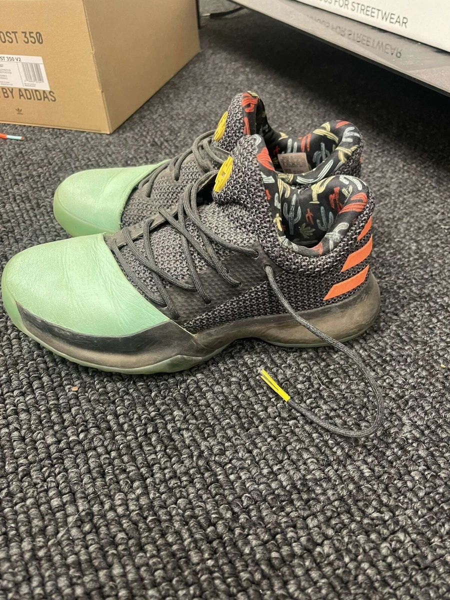 Adidas Harden Vol. 1 Cactus Kid for sale | eBay