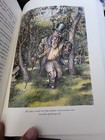 Foto 8 di 10