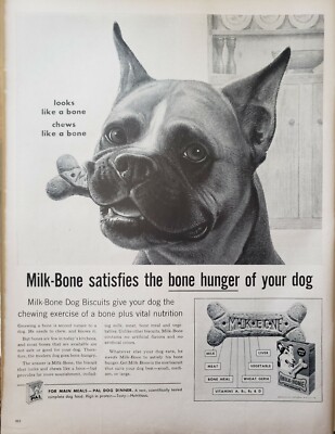 milk bone nutrition