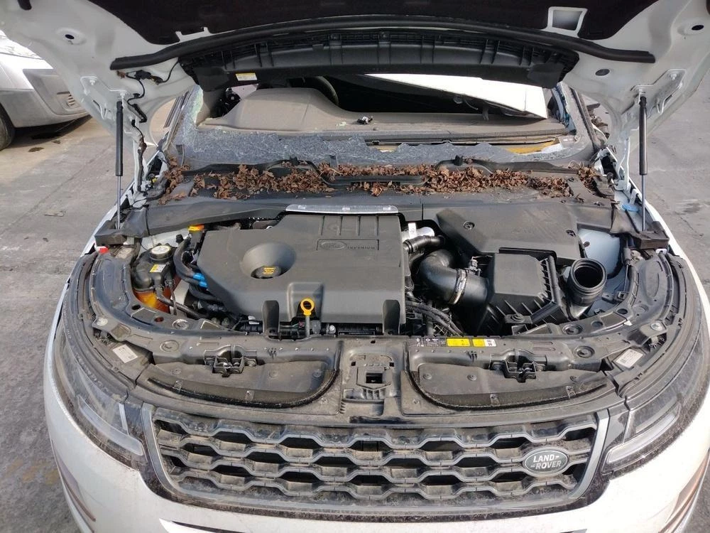 Range rover 2024 evoque weight