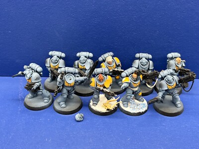 10 Primaris Intercessors der Space Wolves 2