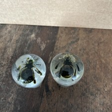 Schaltknauf Rund  ️ Spinne Spider  ️