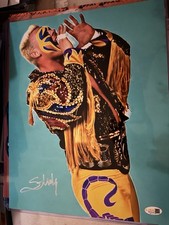 2019 Leaf Wrestling Autographed Photograph Edition 22