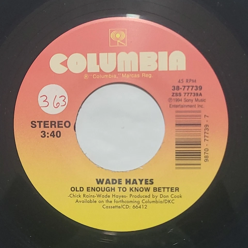 Wade Hayes ~ Old Enough To Know Better/ Family Reunion ~ Columbia 45 RPM Record Foto 2 de 4