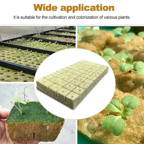 Rock Wool Grow Cubes Seed Starter Plugs Hydroponic Planting Blocks Kit - Picture 23 of 26