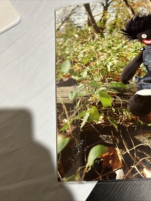 billy woods GOLLIWOG (2LP) Records & LPs for sale online | eBay