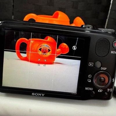 Sony Cyber-shot DSC-HX10V /HX10V Digital Camera 16xOptical Zoom