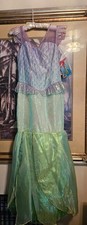 Disney Ariel Collectable Costume.